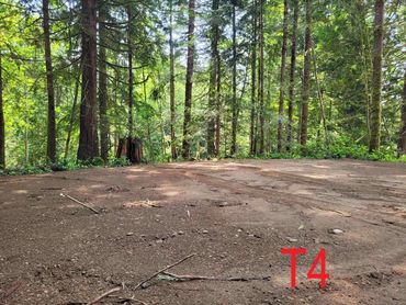 Evergreen Drive-In Tent Site T4 T5