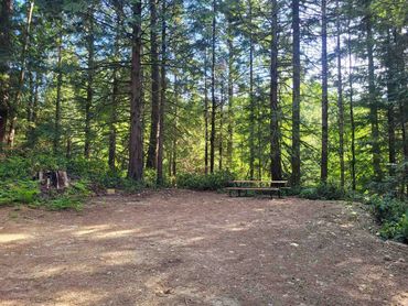 Evergreen Drive-In Tent Site T4 T5