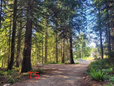 Evergreen Drive-In Tent Site T4 T5