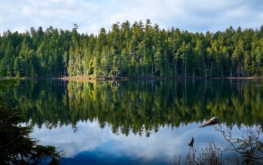 Brown Lake