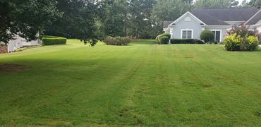 We offer full lawn care services 