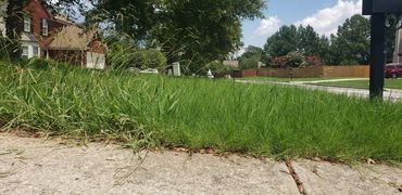 We cut tall or short grass no worries we got you in your lawn care needs