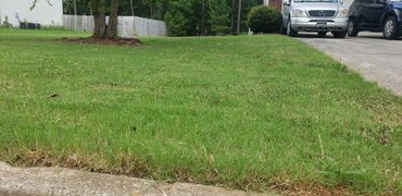 Keeping lawns maintained helps yard stay healthy