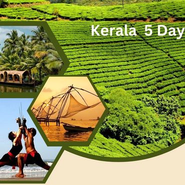 Scenic Kerala highlights: tea gardens, houseboats, fishing nets, and traditional dance.