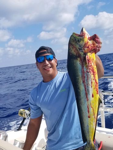 Offshore Fishing trip landing a Mahi Mahi while pulling planers.