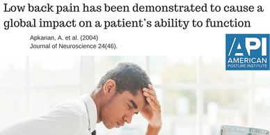 Lower back Pain educespaint ability to function
