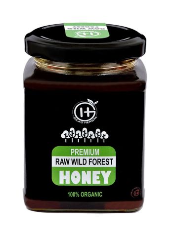 Gilko herbal wild forest honey pure raw immunity boost