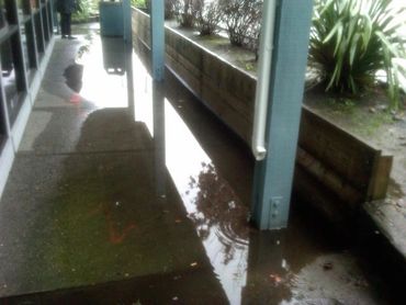 DEL NORTE PLAZA, EL CERRITO, CALIFORNIA, BEFORE, VITAL BUILDING & ENTERPRISES, INC.