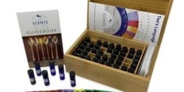 Guide book sent with scents of tea kit with all scents found to accompany tea training