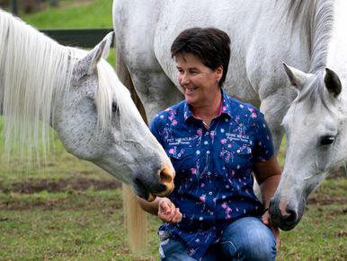 SURE FOOT Pads Equine Rehabilitation bodywork Proprioception