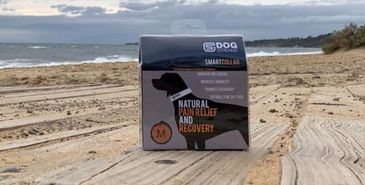 DOG StreamZ contain a series of magnetic fields and are designed to be worn 24/7.