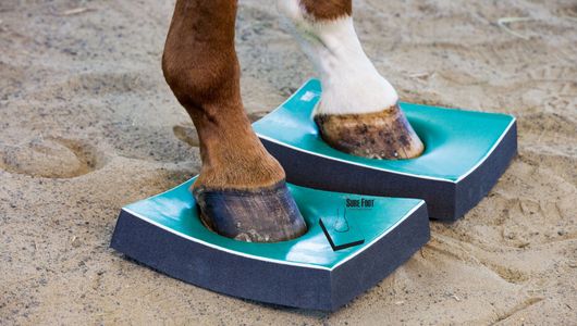 SURE FOOT Pads are suitable for Shod horses.