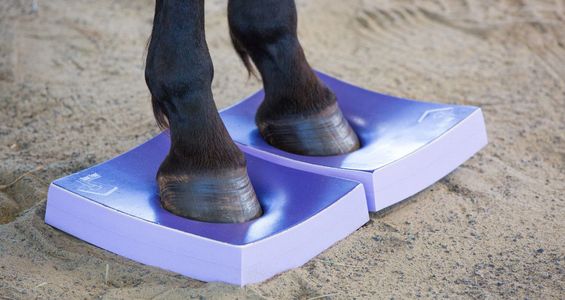 SURE FOOT Equine Pads are suitable for shod or barefoot horses.