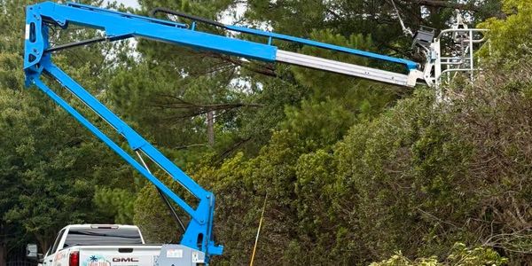 Storm prep HOA tree maintenance for neighborhood association in coastal South Carolina