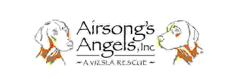 vizsla rescue, dog rescue, animal rescue