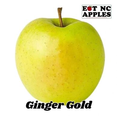 ginger gold apple eat nc apples