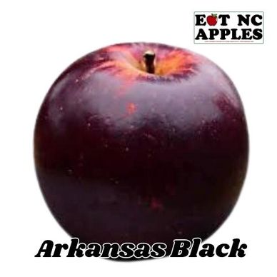 arkansas black eat nc apples