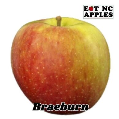 braeburn eat nc apples