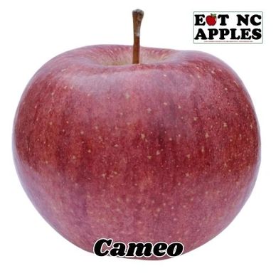 cameo eat nc apples