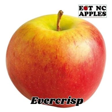 evercrisp eat nc apples