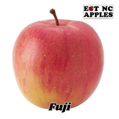 fuji eat nc apples