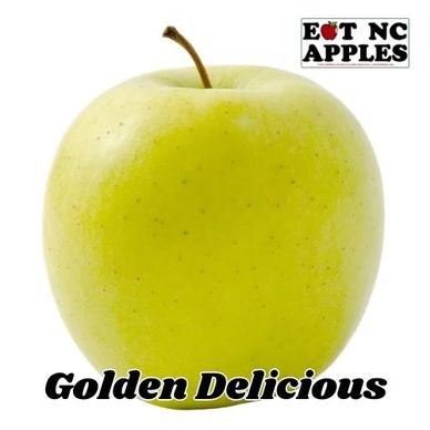 golden delicious eat nc apples