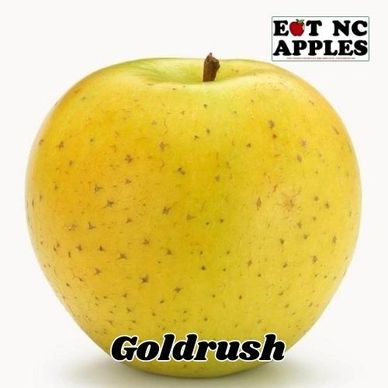 goldrush eat nc apples