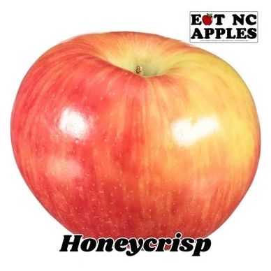honeycrisp apple eat nc apples