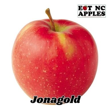 jonagold eat nc apples