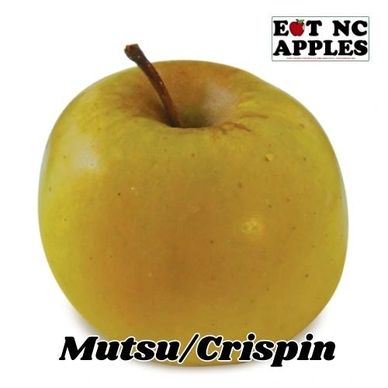 mutsu crispin eat nc apples