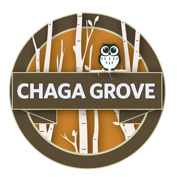 Chaga Grove logo with owl and birch trees.