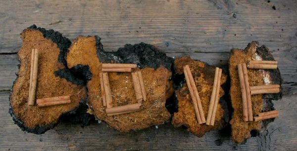 Cinnamon sticks spelling LOVE on bark pieces.