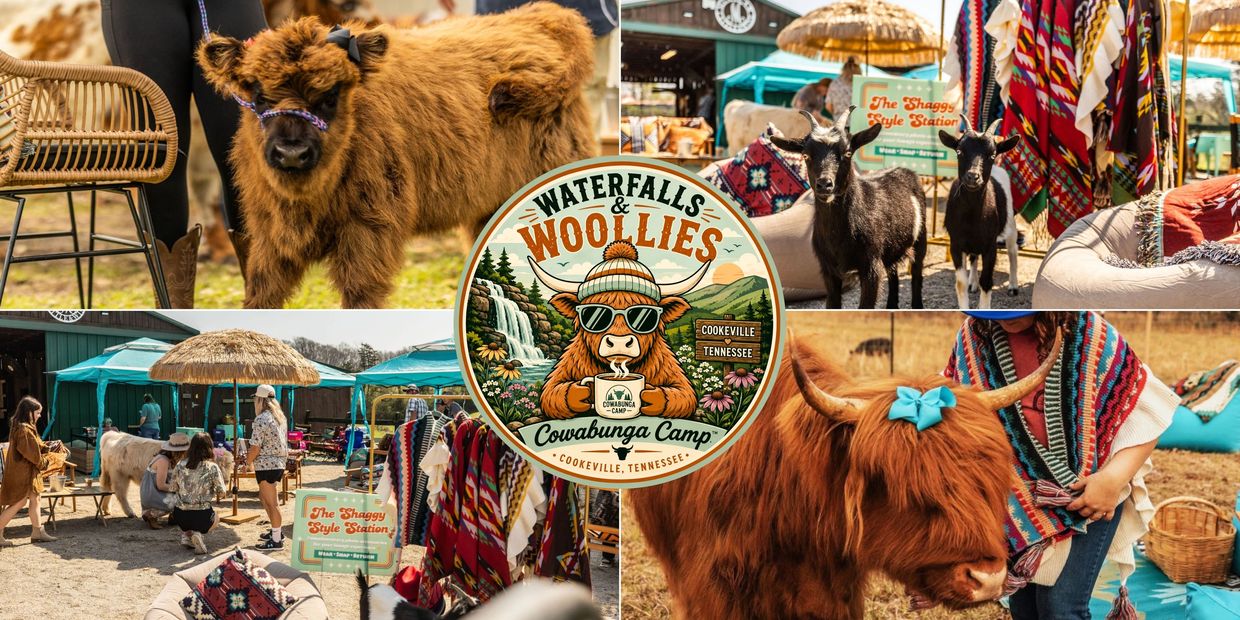Cute animals and colorful market at Waterfalls & Woollies event.