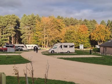 A quiet campsite with RVs and autumn trees in the background.