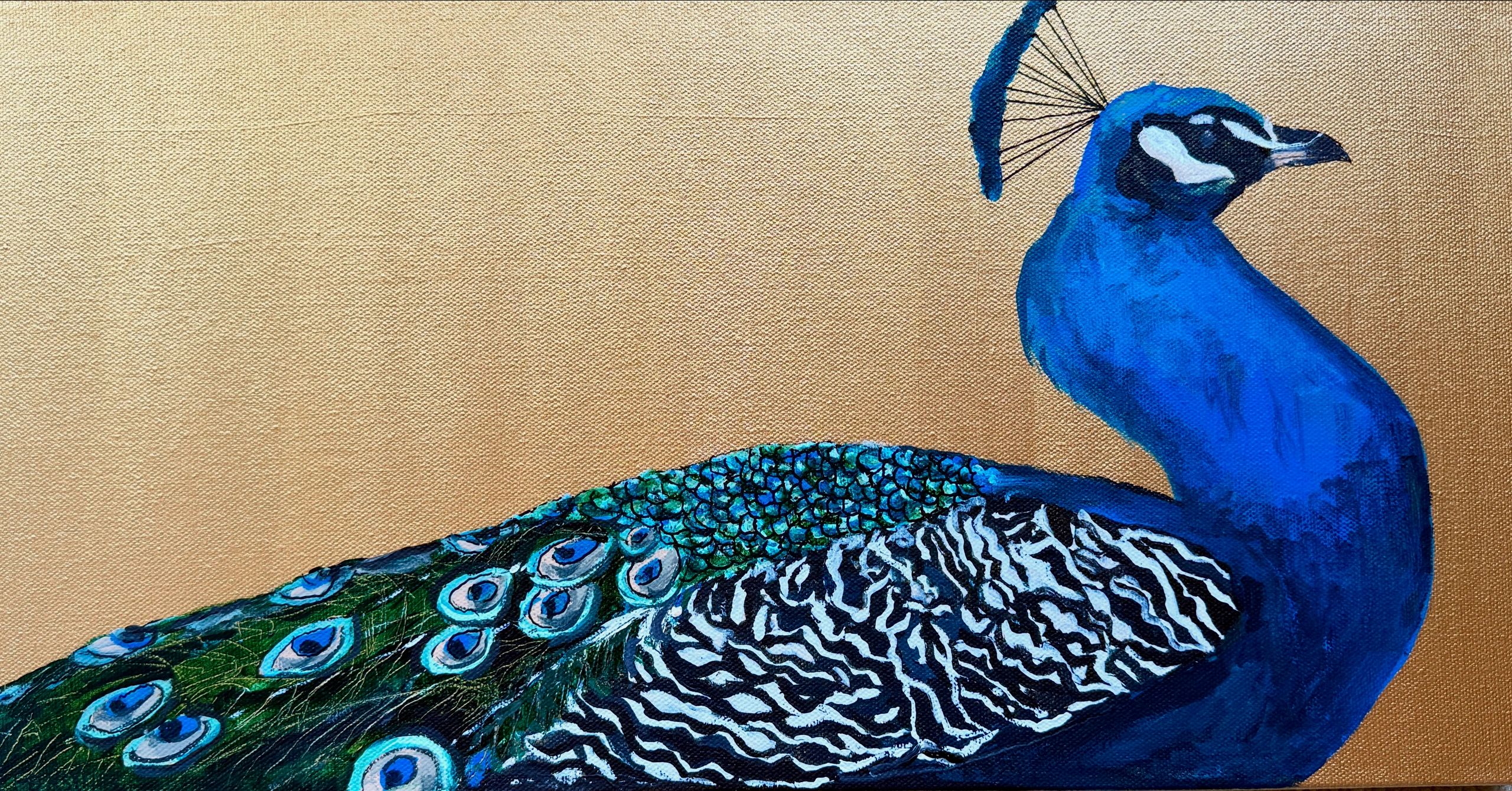 peacock
