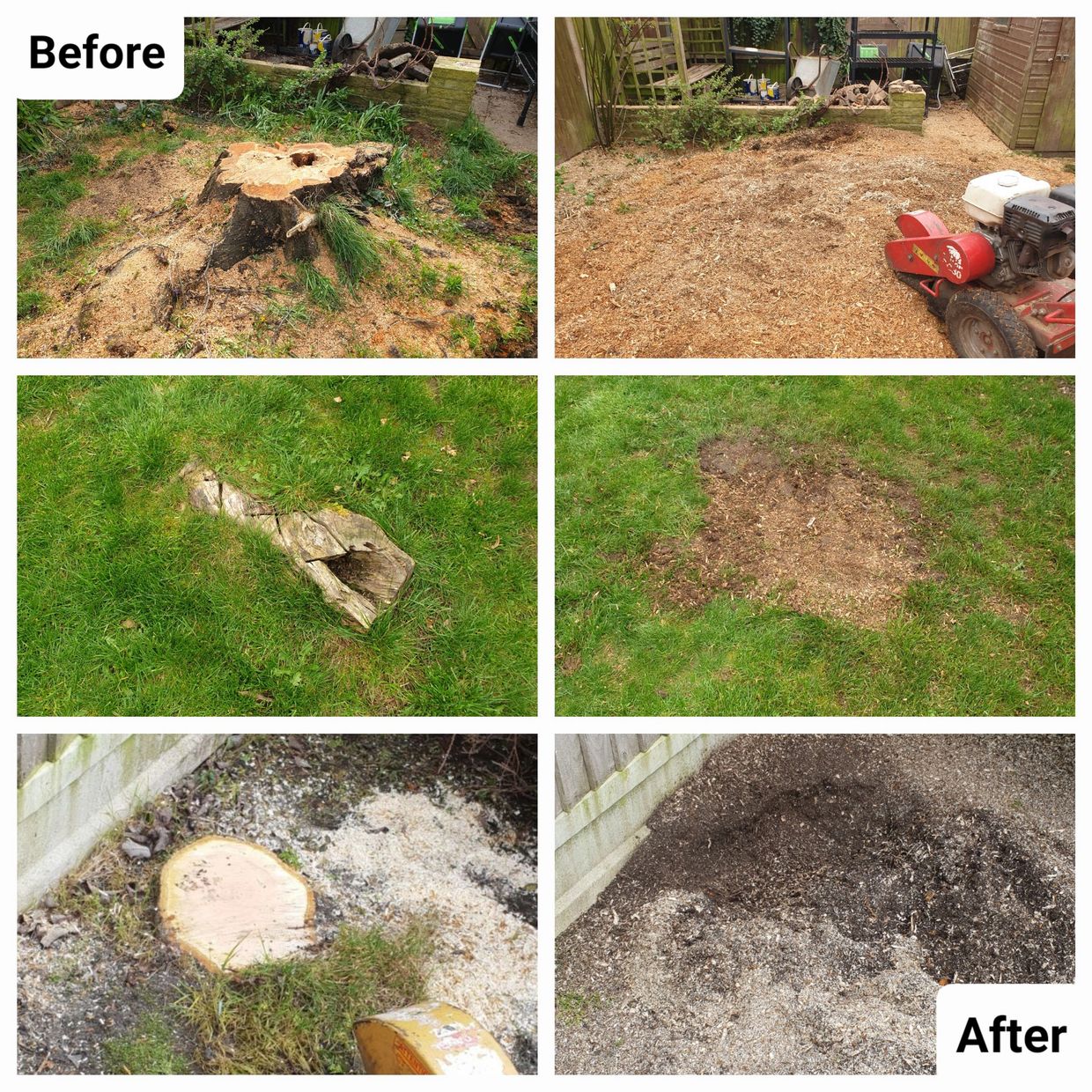 Before and after photo collage of stump grinding