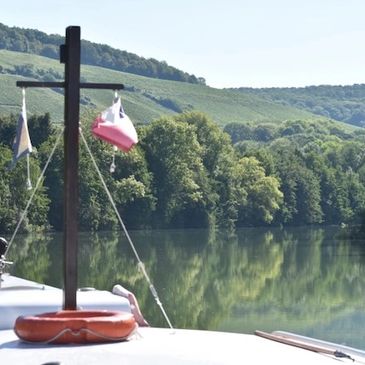 Vineyards on the Marne River
