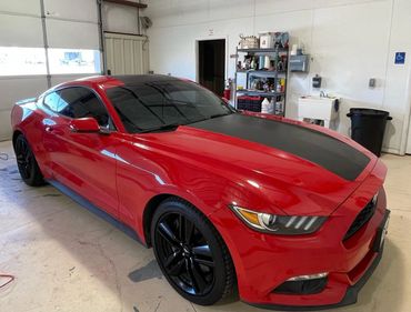 Car Detailing in Elko