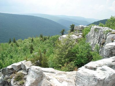 dolly sods