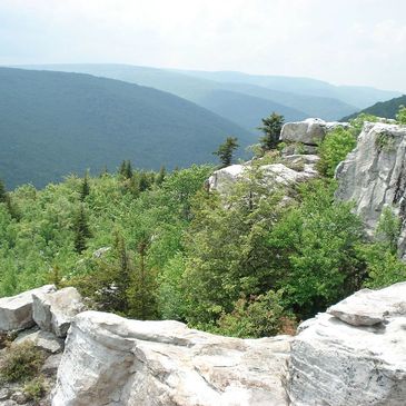 dolly sods wilderness area