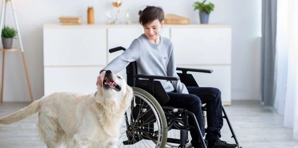 Niño en silla de ruedas acariciando un perro.