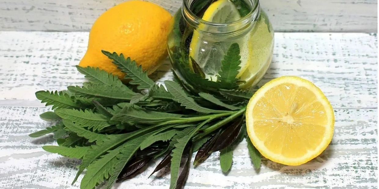 citrus-aromatic-herbs-handmade-air-natural-ingredients