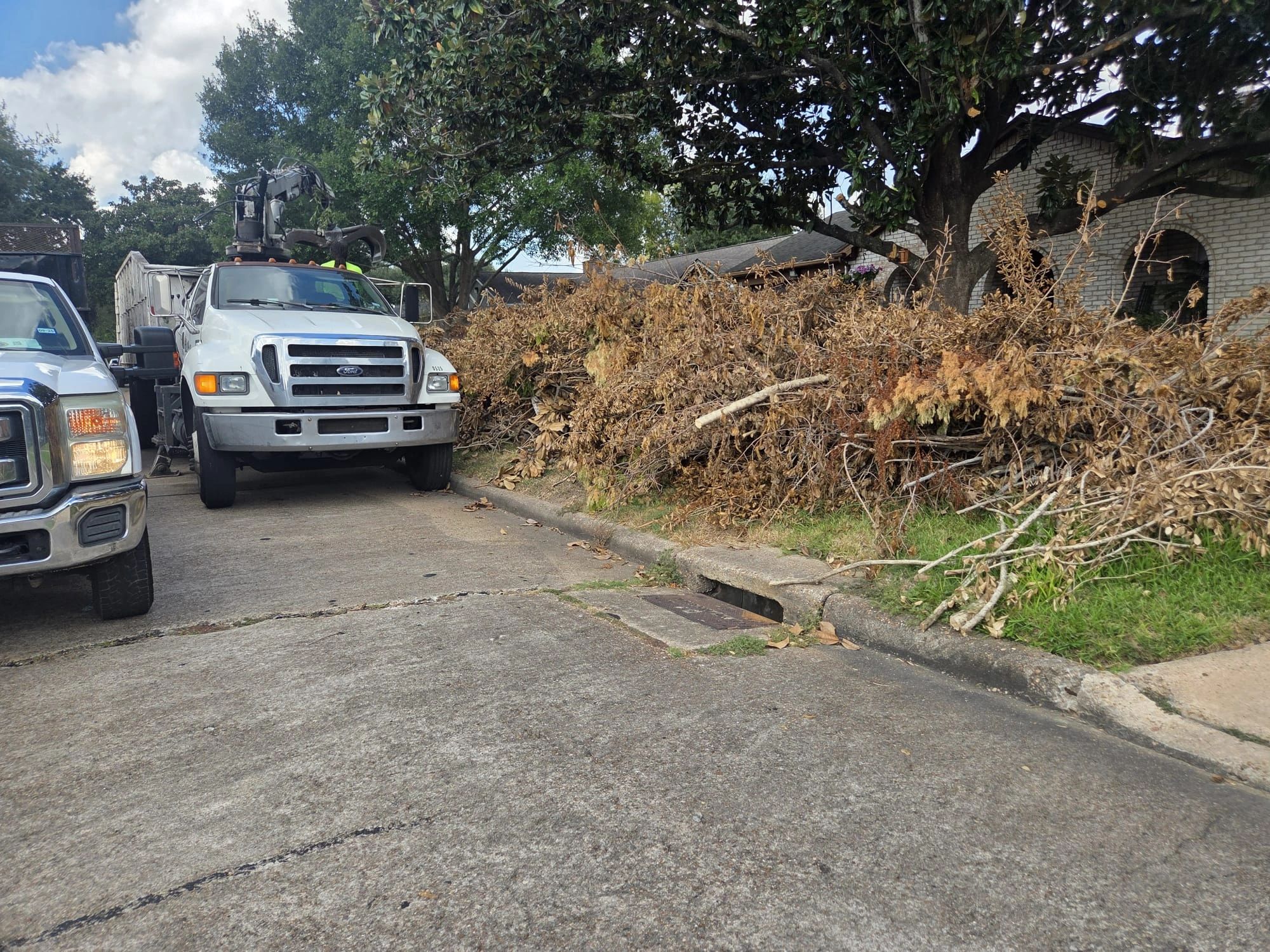 Reach, Grab & Go Debris Removal - Debris removal service in Houston