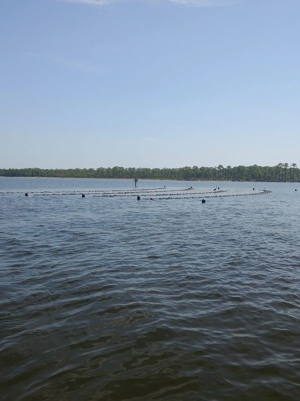 oyster farm