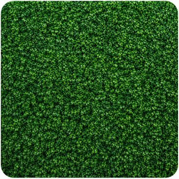 Close-up of dense green leaves.