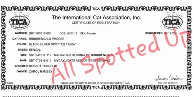 TICA registration