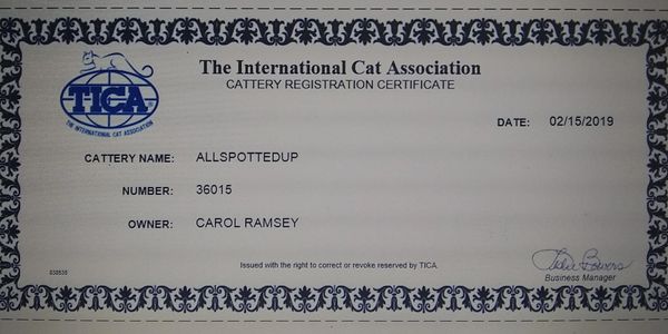 Cattery TICA registration