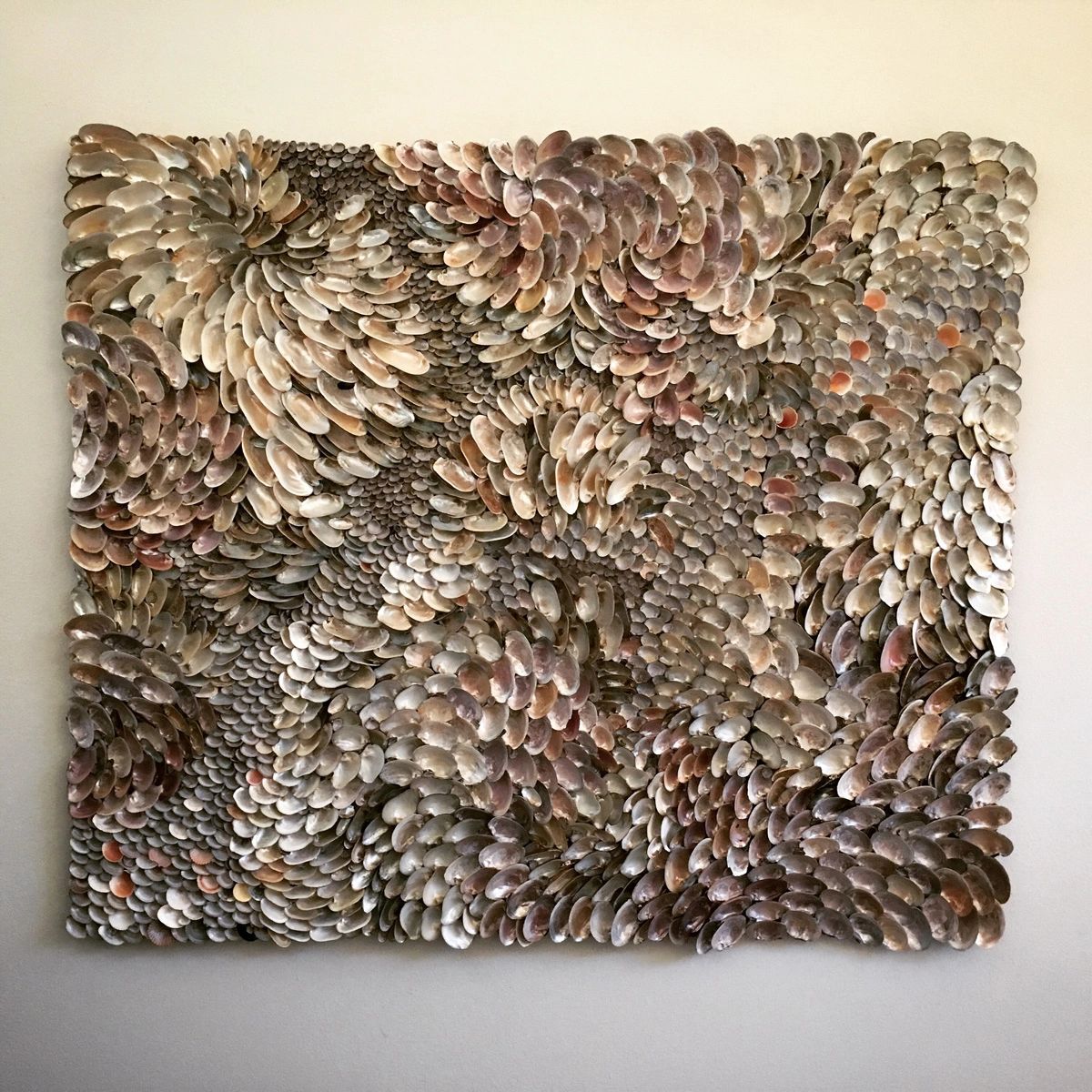 "Morning Glory" is a wall sculpture made of mussel shells.