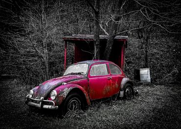 Titled: A Bug's Life. A abandoned red VW beetle car near a little shed. Partial black and white.