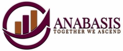 Anabasis Business Consulting